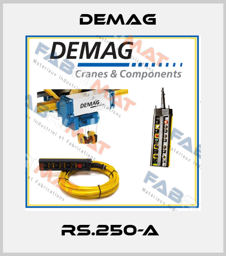 RS.250-A  Demag