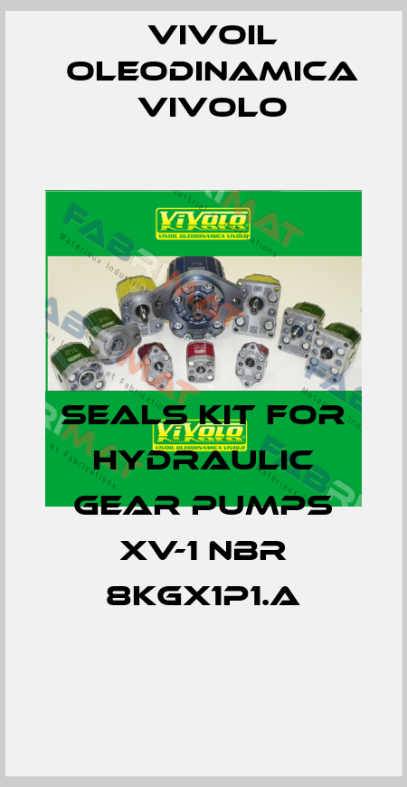 Seals kit for hydraulic gear pumps XV-1 NBR 8KGX1P1.A Vivoil Oleodinamica Vivolo