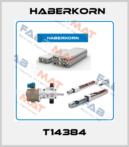 T14384 Haberkorn