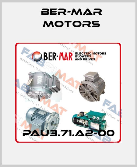 PAU3.71.A2-00 Ber-Mar Motors