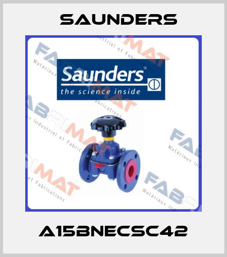 A15BNECSC42 Saunders