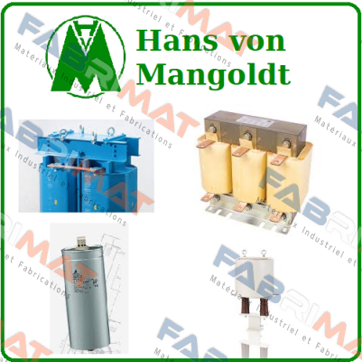 HSST/A-S31T 4B1 Hans von Mangoldt