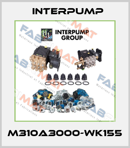 M310A3000-WK155 Interpump