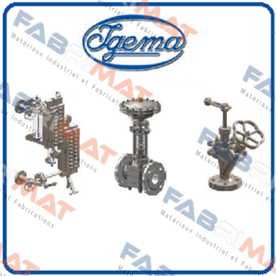 40-00114 Igema
