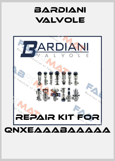 Repair kit for QNXEAAABAAAAA Bardiani Valvole