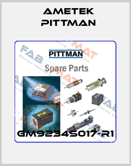 GM9234S017-R1 Ametek Pittman
