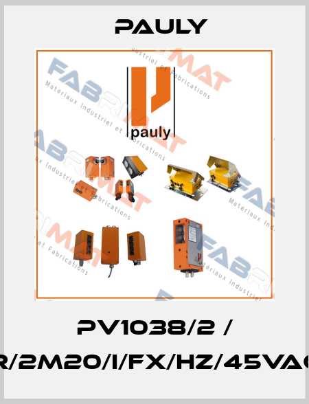 PV1038/2 / R/2m20/i/fx/hz/45VAC Pauly