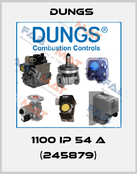 1100 IP 54 A (245879) Dungs