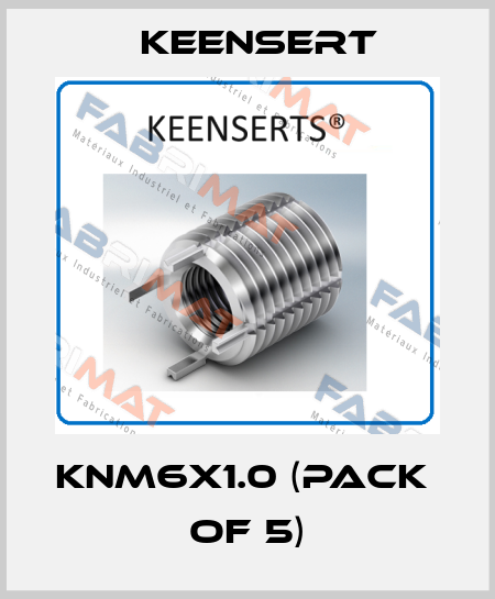 KNM6X1.0 (pack  of 5) Keensert