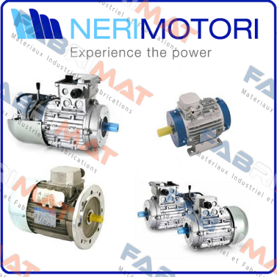 MR100L6-B14-1,5kW-1000 Neri Motori