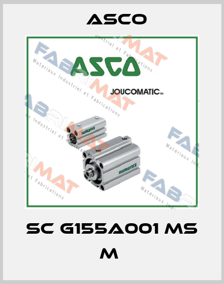 SC G155A001 MS M  Asco