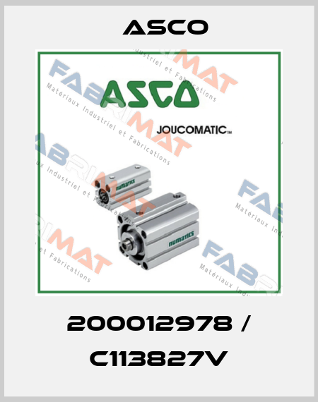 200012978 / C113827V Asco