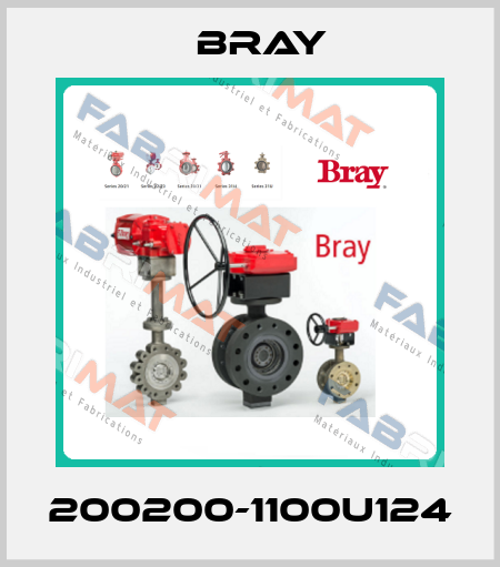 200200-1100U124 Bray