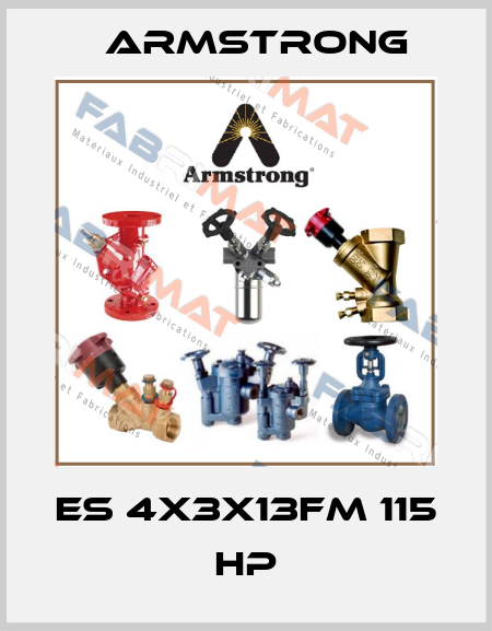 ES 4X3X13FM 115 HP Armstrong
