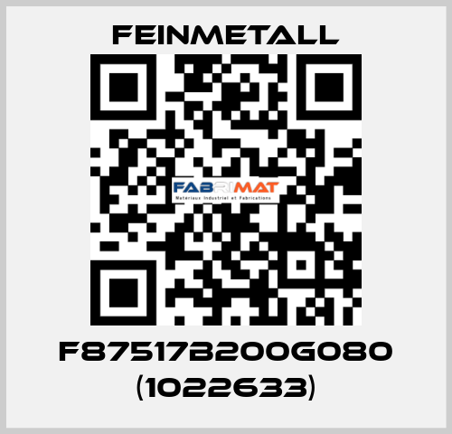 F87517B200G080 (1022633) FEINMETALL