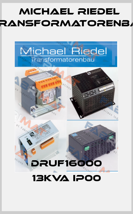 DRUF16000 13kVA IP00 Michael Riedel Transformatorenbau
