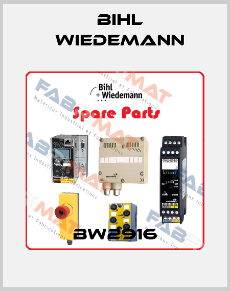 BW2916 Bihl Wiedemann
