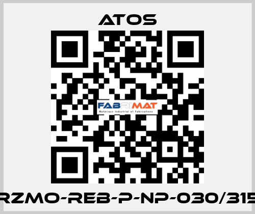 RZMO-REB-P-NP-030/315 Atos