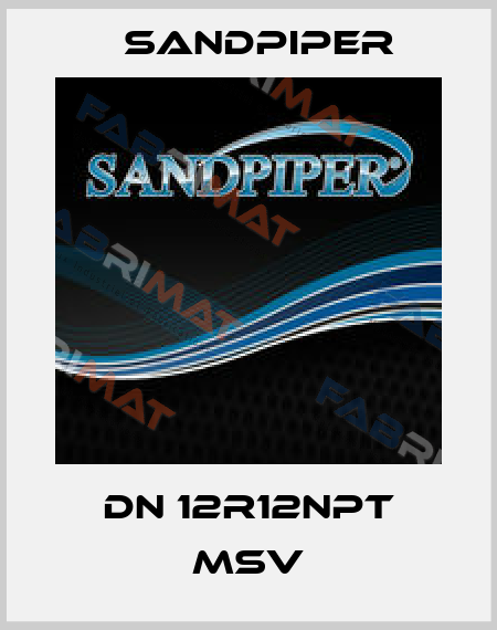 DN 12R12NPT MSV Sandpiper