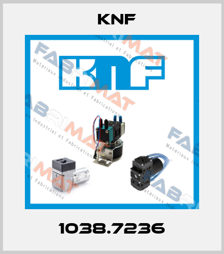 1038.7236 KNF