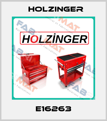 E16263 holzinger