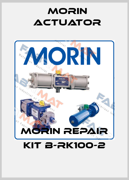 Morin Repair Kit B-RK100-2 Morin Actuator