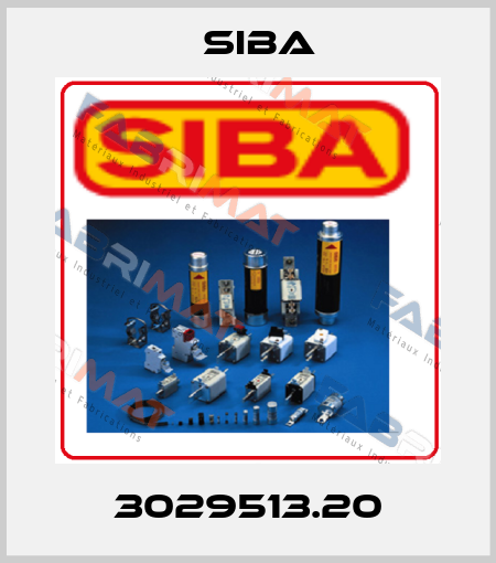 3029513.20 Siba