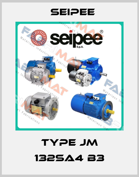 Type JM 132SA4 B3 SEIPEE