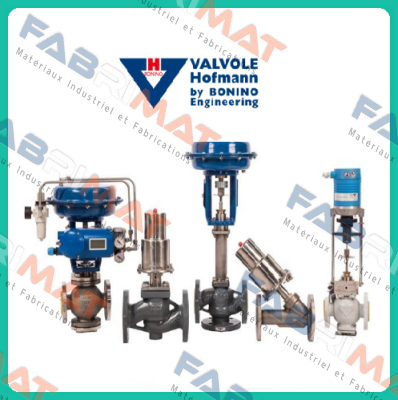 Repair kit for M8 S 025 1 2 C D/ Valvole Hofmann