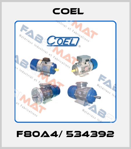 F80A4/ 534392 Coel