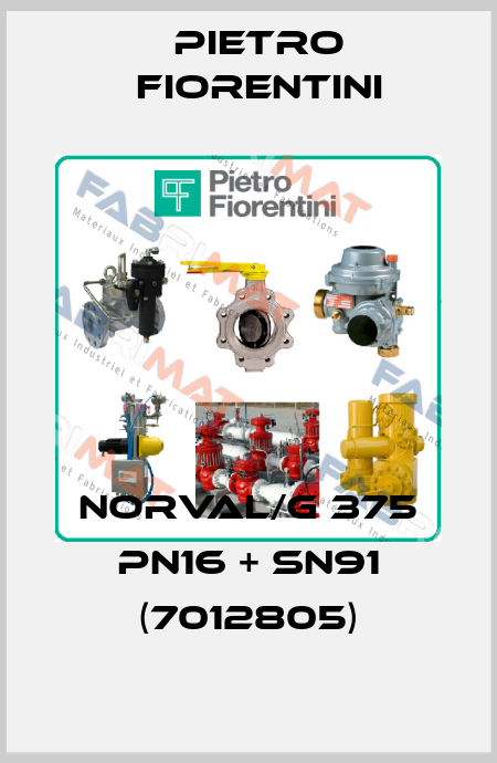 NORVAL/G 375 PN16 + SN91 (7012805) Pietro Fiorentini