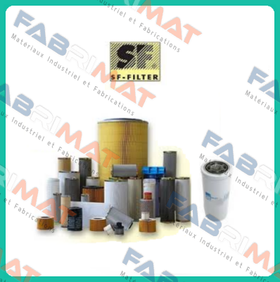 WF-BFE 1-01D10G5A SF FILTER