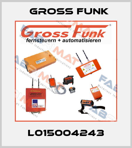 L015004243 Gross Funk