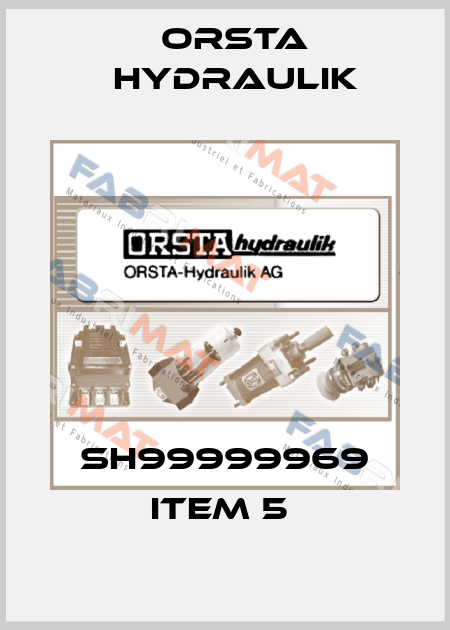 SH99999969 item 5  Orsta Hydraulik