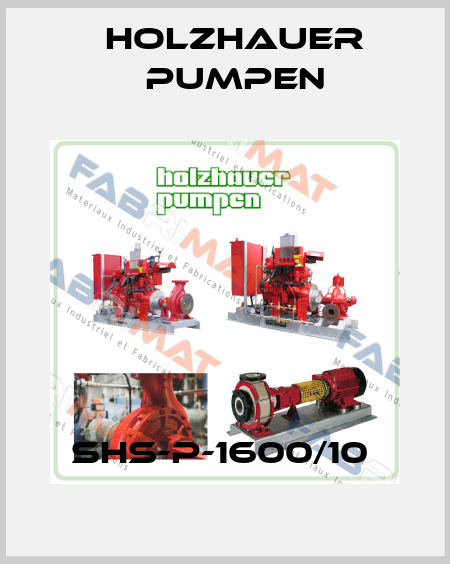 SHS-P-1600/10  Holzhauer Pumpen