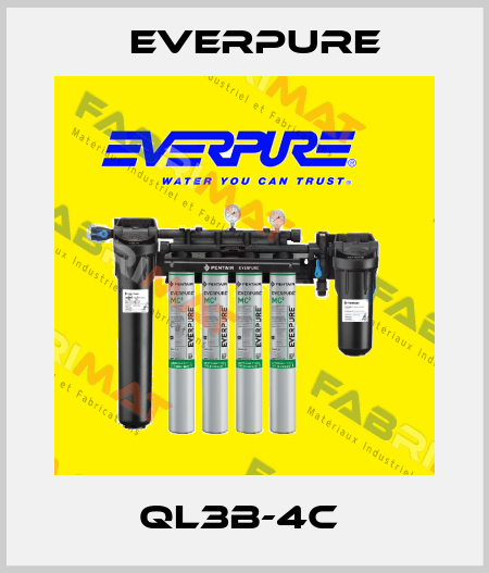 QL3B-4C  Everpure