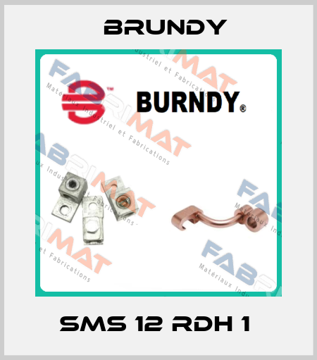 SMS 12 RDH 1  Brundy