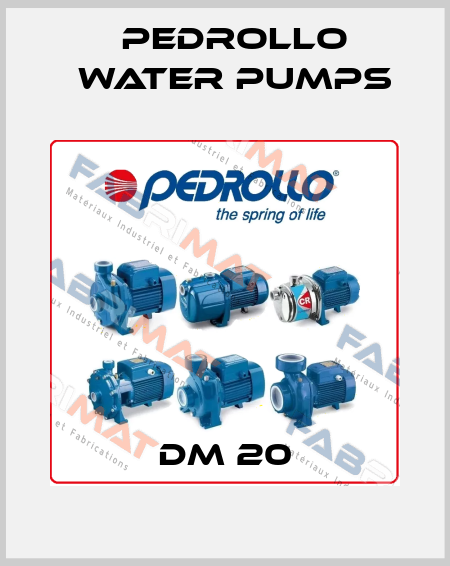 Dm 20 Pedrollo Water Pumps