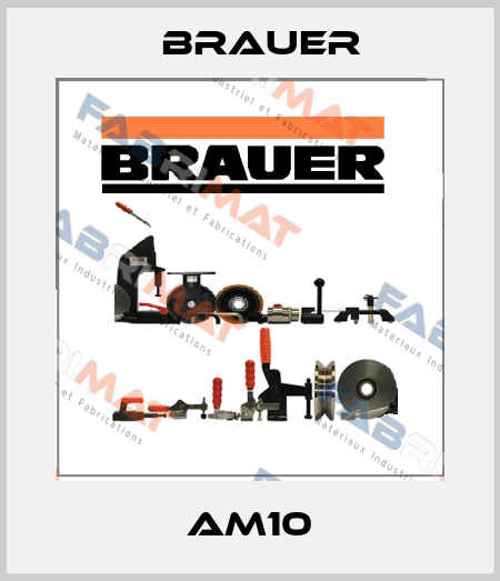 AM10 Brauer