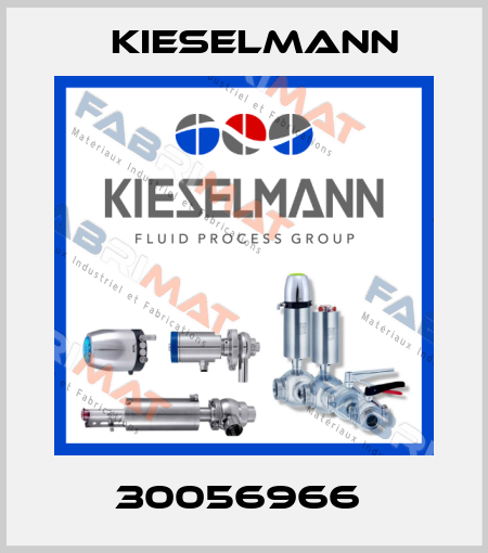 30056966  Kieselmann