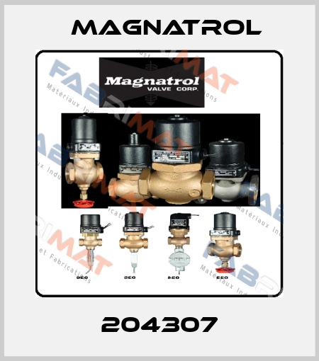 204307 Magnatrol
