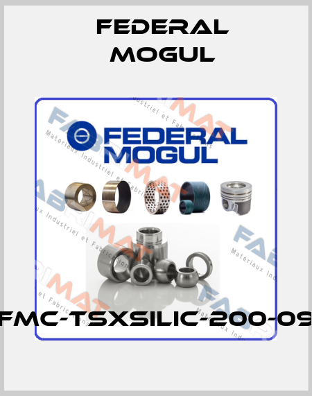 FMC-TSXSILIC-200-09 Federal Mogul