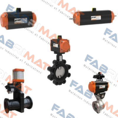 valve motor for  Pro-0080  Proval