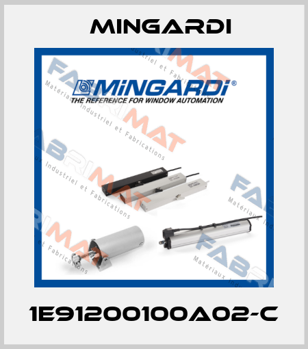 1E91200100A02-C Mingardi