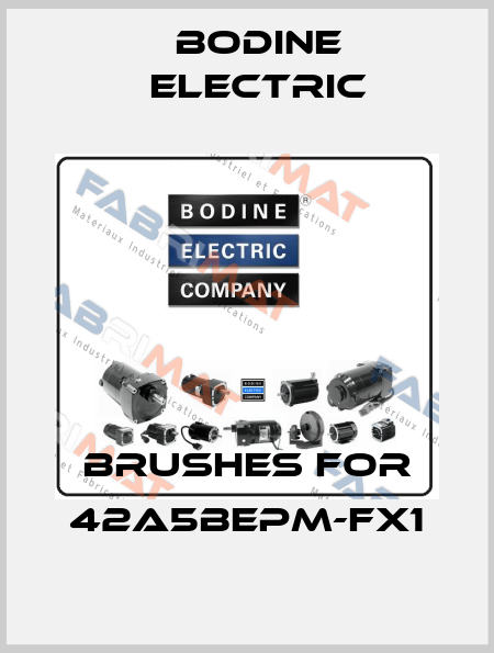 Brushes for 42A5BEPM-FX1 BODINE ELECTRIC