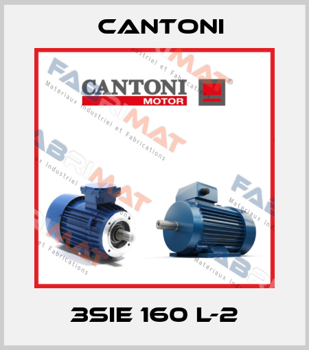 3SIE 160 L-2 Cantoni