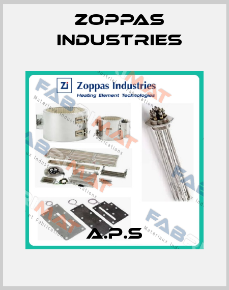 A.P.S Zoppas Industries