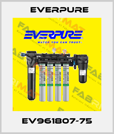 EV961807-75 Everpure