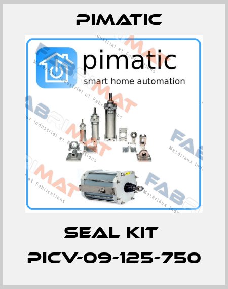 SEAL KIT  PICV-09-125-750 Pimatic