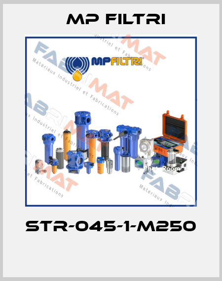 STR-045-1-M250  MP Filtri